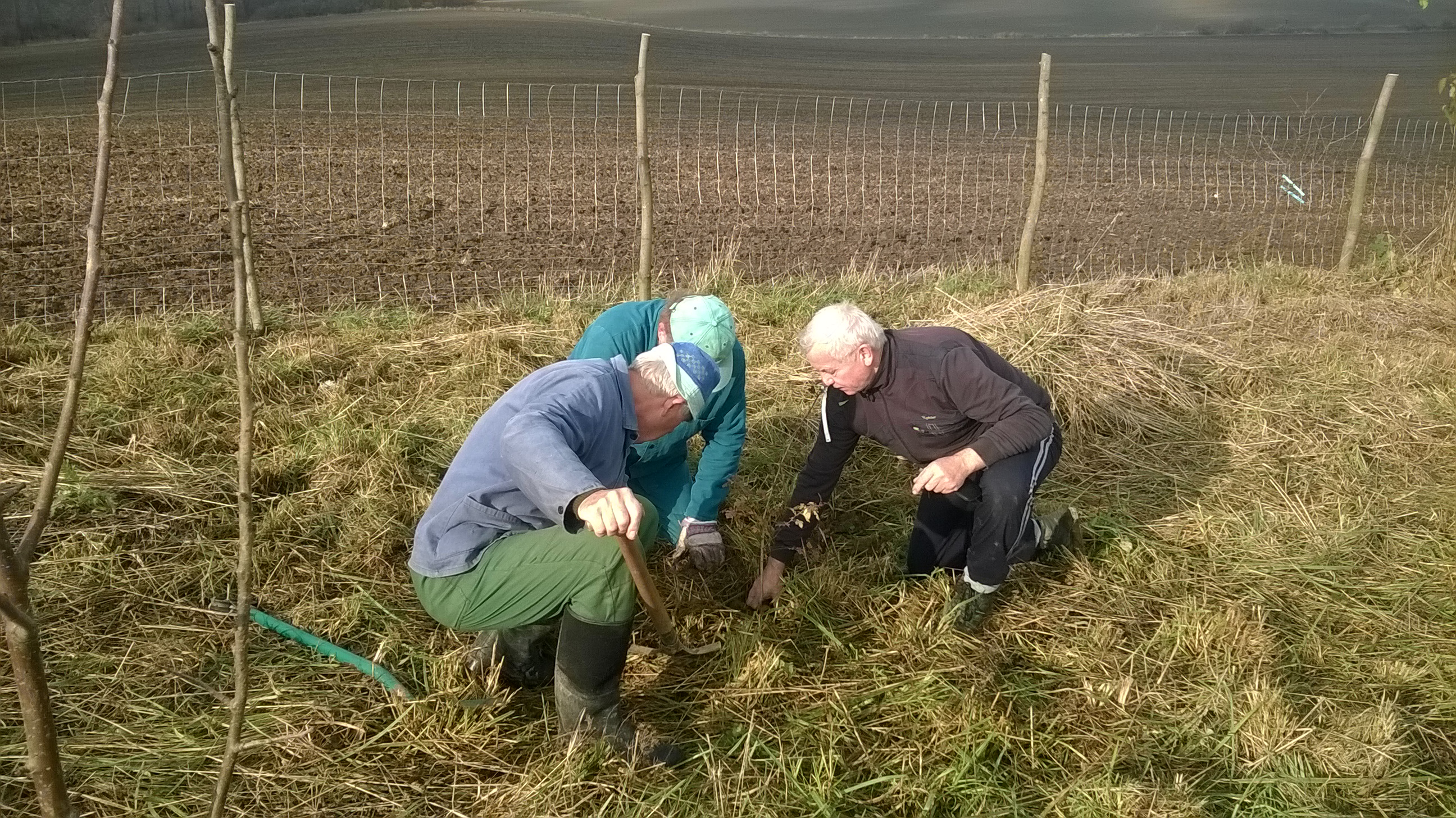 WP_20151108_09_46_50_Pro