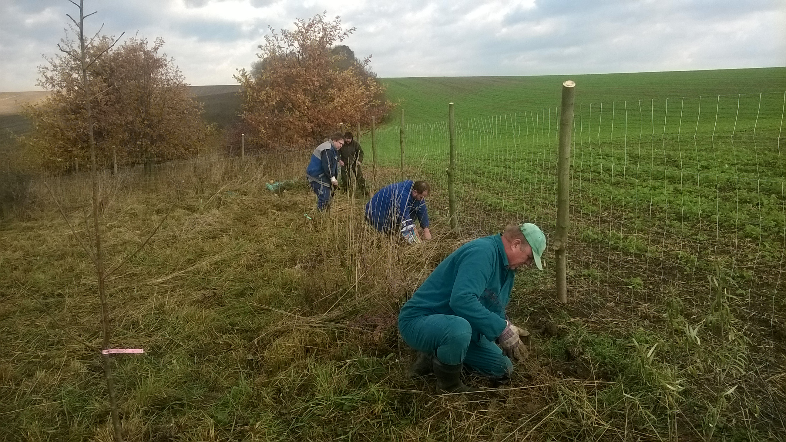 WP_20151108_09_41_52_Pro