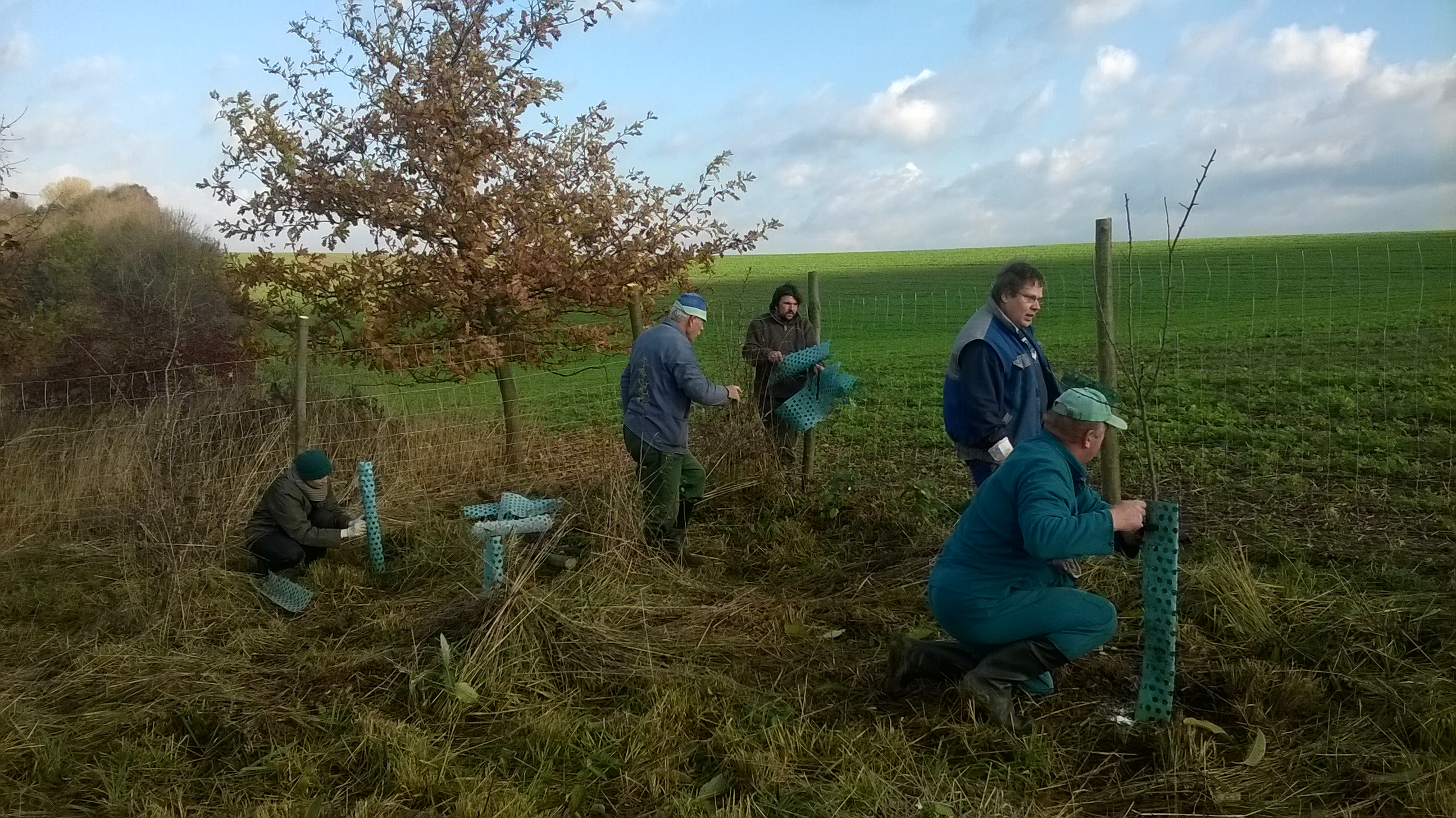 WP_20151108_09_53_55_Pro