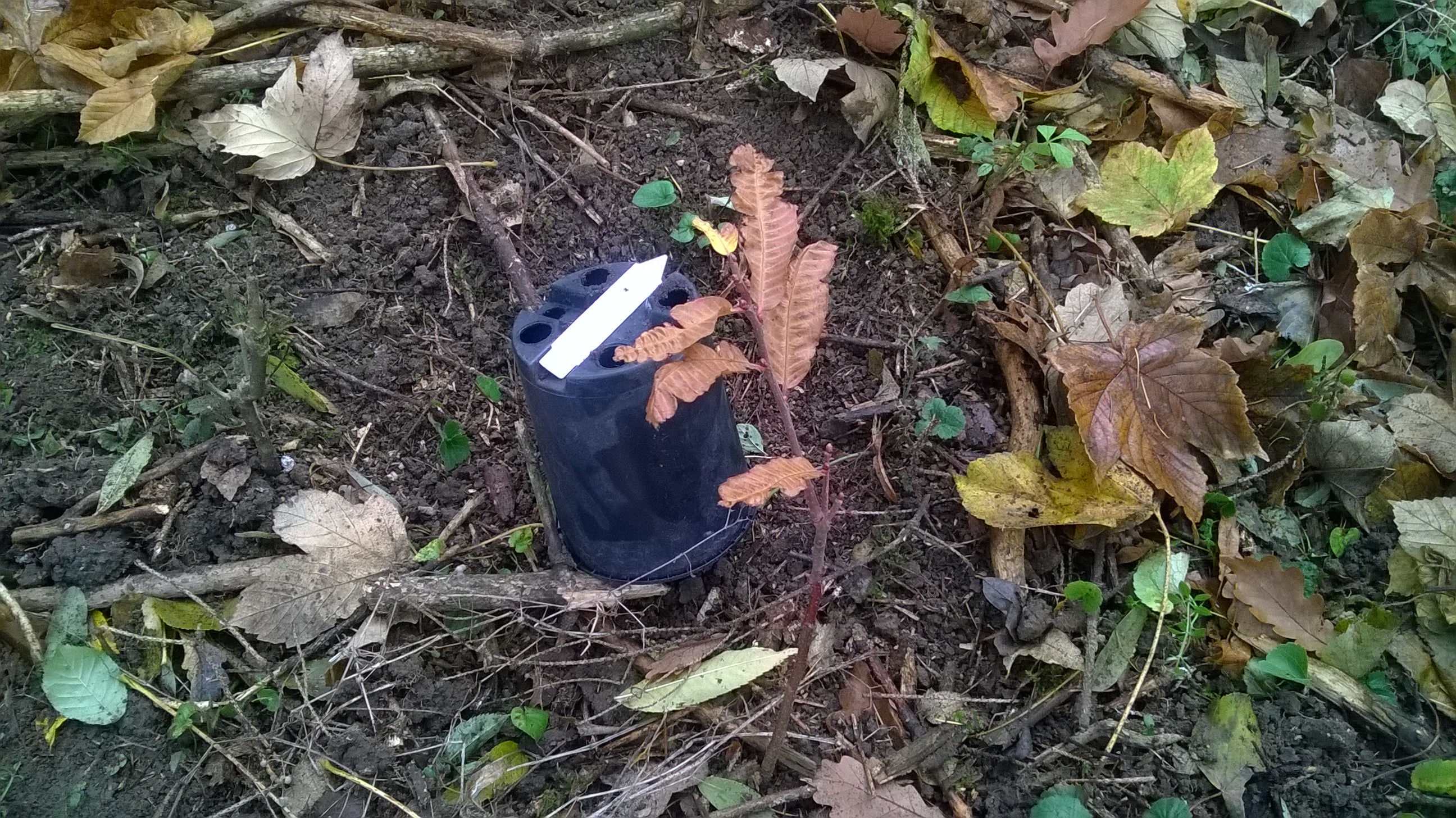 WP_20151108_10_33_41_Pro