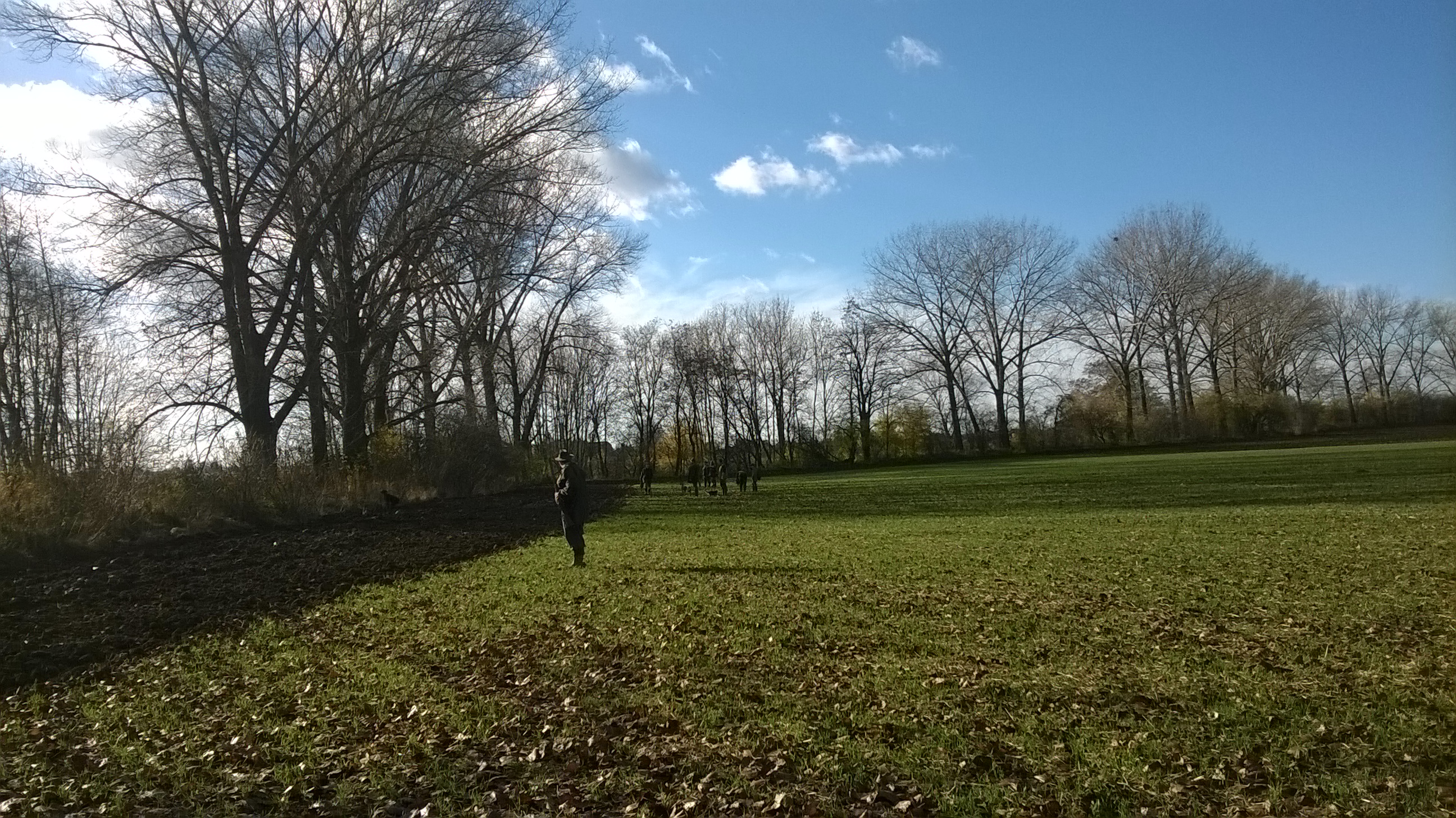 WP_20151114_10_45_07_Pro