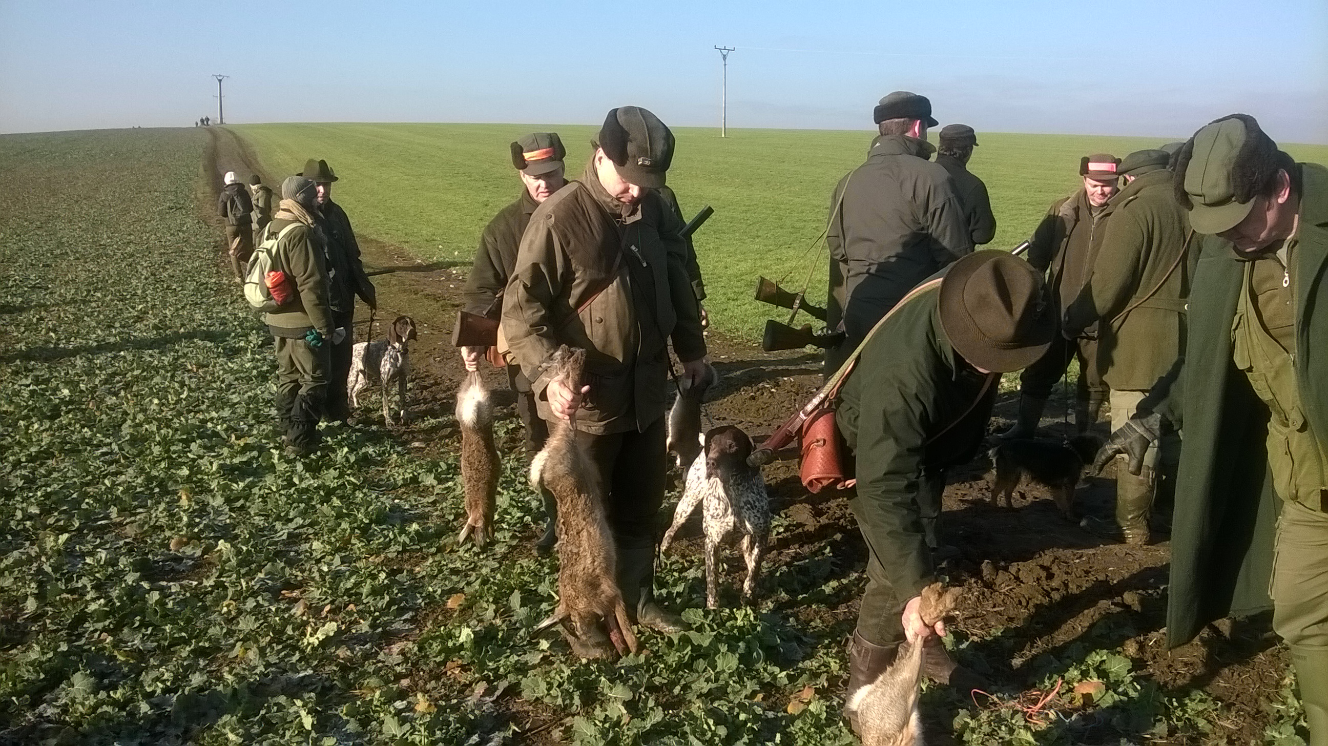 WP_20151230_11_12_56_Pro