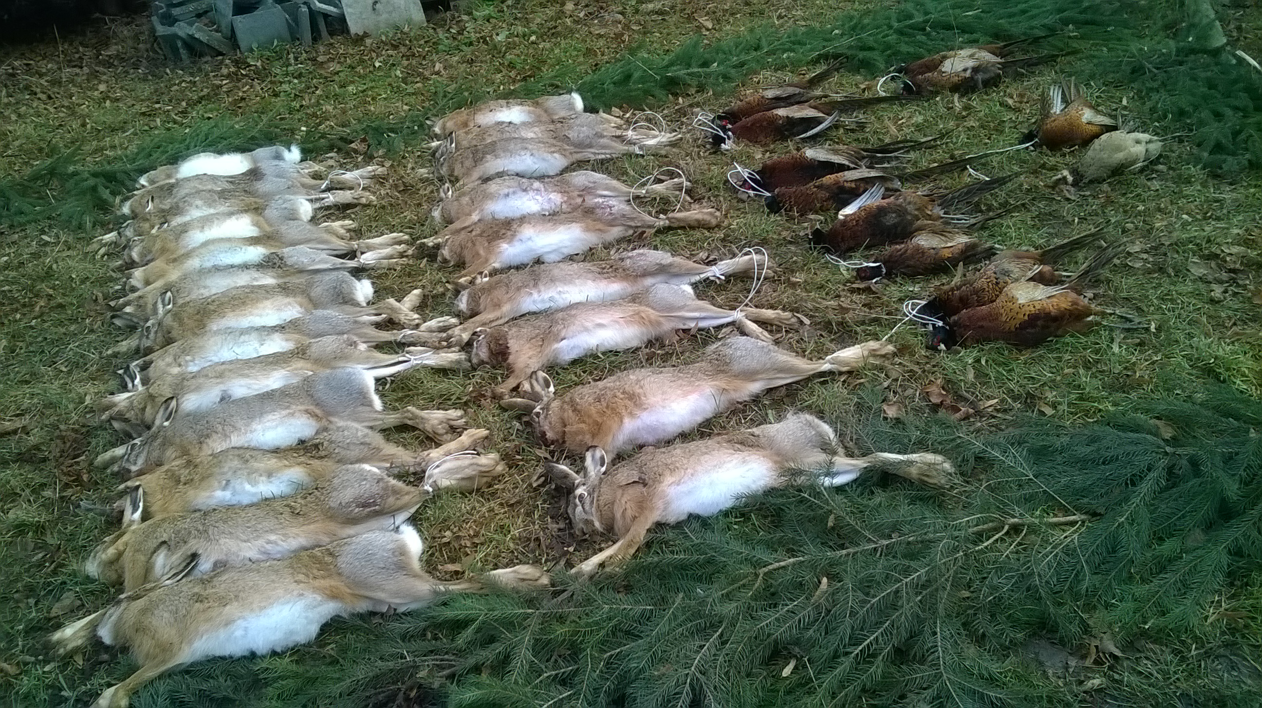 WP_20161210_14_55_05_Pro