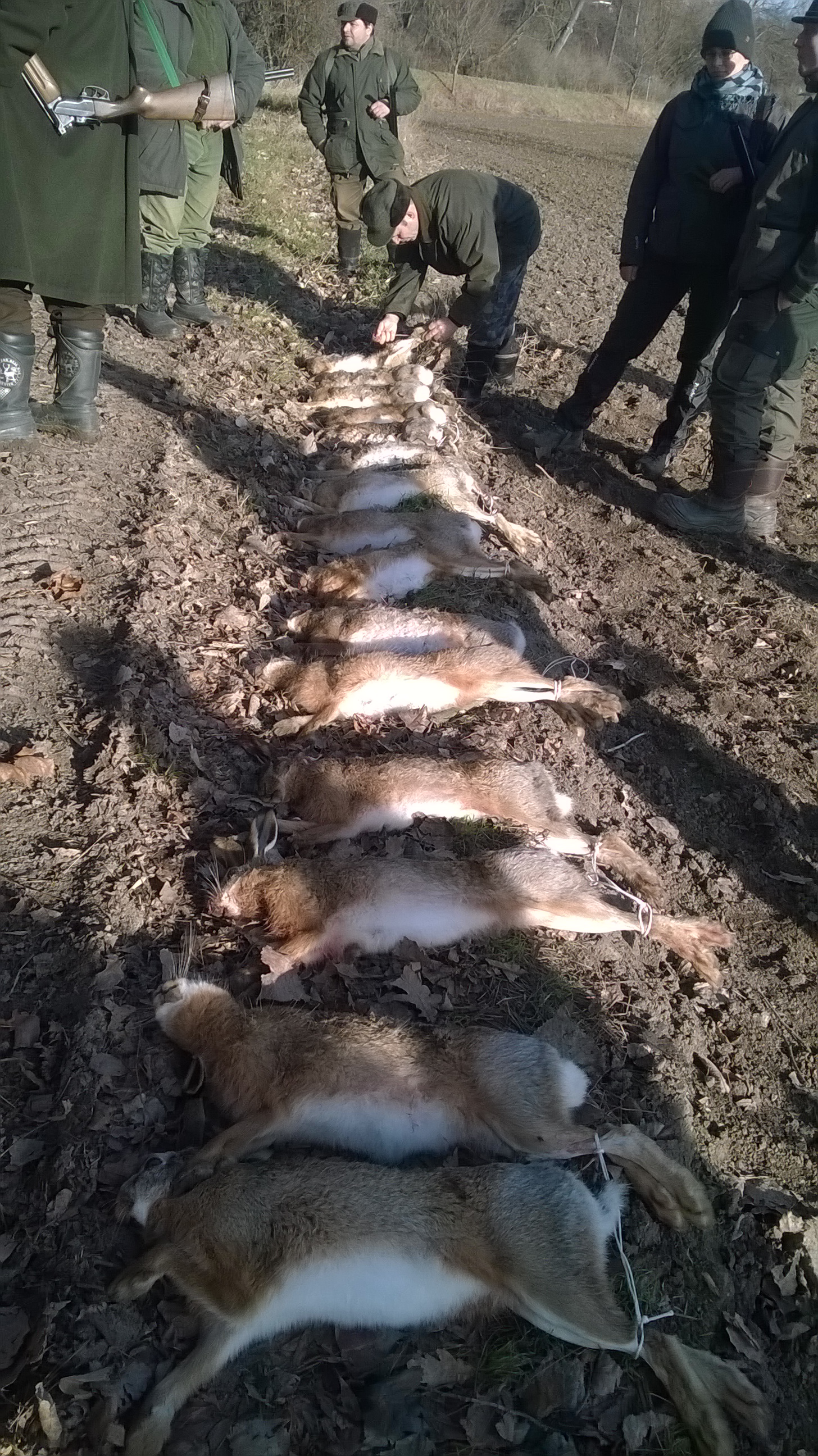 WP_20161229_13_10_12_Pro