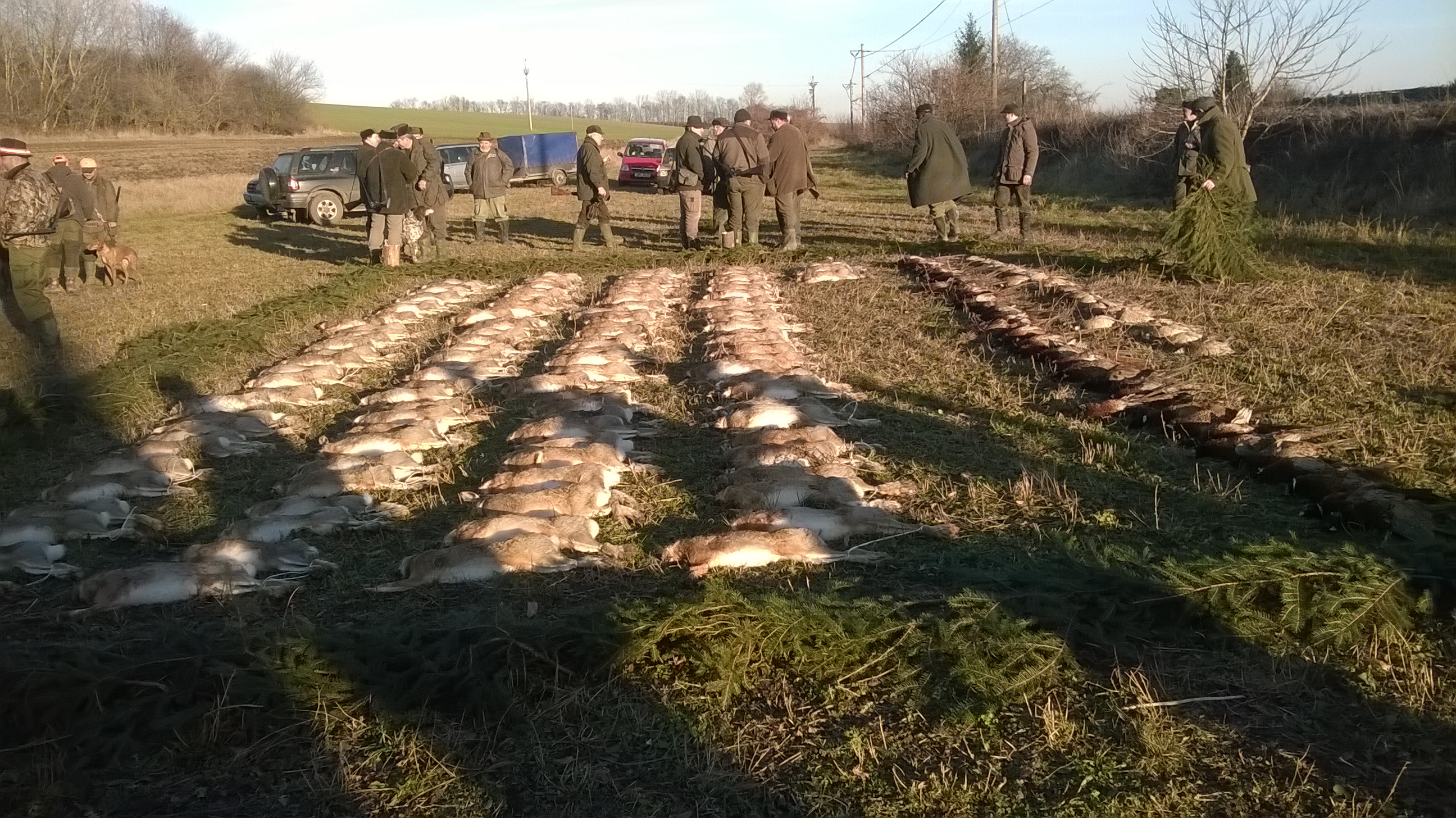 WP_20161229_14_48_37_Pro