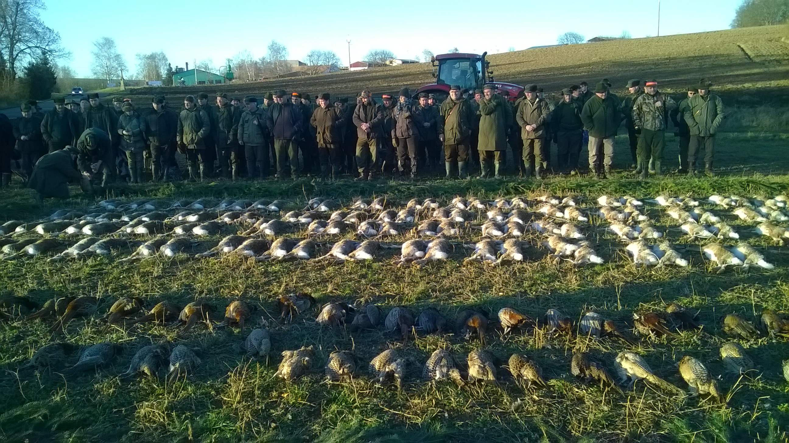 WP_20161229_14_57_34_Pro